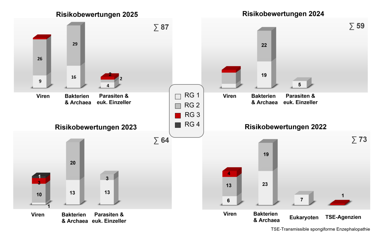 Säulendiagramme zeigen, wieviele Organismen in den Jahren 2022 bis 2025 durch die ZKBS risikobewertet wurden, und welcher Risikogruppe sie zugeordnet wurden. Im Jahr 2025 wurden 87 Risikoeinstufungen von Organismen durchgeführt, davon 35 Viren, 45 Bakterien und Archaeen sowie 8 Parasiten und eukaryotische Einzeller. Weitere Zahlen sind auch dem jährlich erscheinendem Tätigkeitsbericht der ZKBS zu entnehmen.
