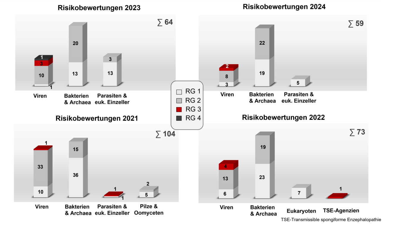 Säulendiagramme zeigen, wieviele Organismen in den Jahren 2021 bis 2024 durch die ZKBS risikobewertet wurden, und welcher Risikogruppe sie zugeordnet wurden, Im Jahr 2024 wurden 59 Risikoeinstufungen von Organismen durchgeführt, davon 13 Viren, 41 Bakterien und Archaea sowie 5 Parasiten und eukaryotische Einzeller. Weitere Zahlen sind auch dem jährlich erscheinendem Tätigkeitsbericht der ZKBS zu entnehmen.,