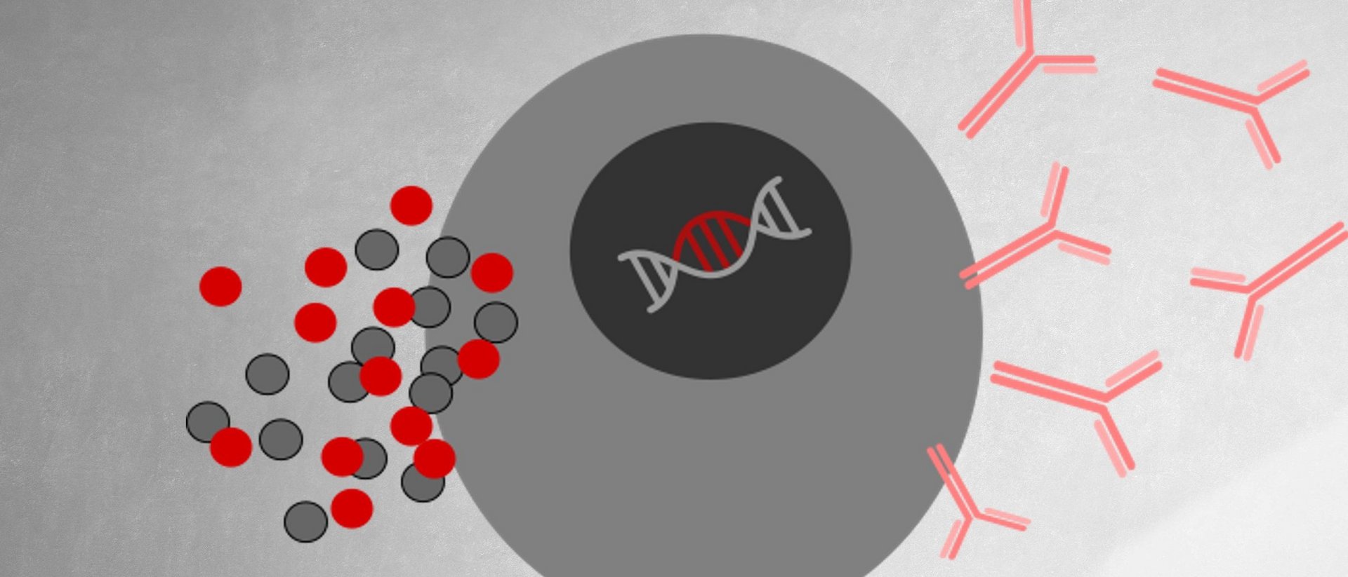 Ein Symbol in Graut&ouml;nen zeigt in abstrakter Form eine Zelle mit DNA, auf die verschiedene Molek&uuml;le einwirken.