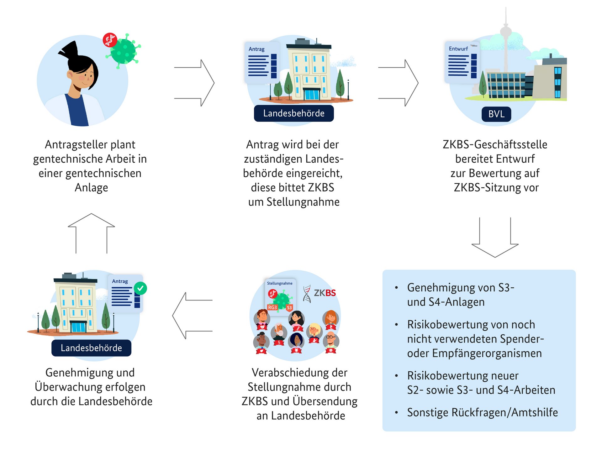 Die Abbildung zeigt den Weg von der Antragstellung für eine geplante gentechnische Arbeit bei der Landesbehörde über die Beteiligung der ZKBS und Genehmigung der geplanten gentechnischen Arbeiten durch die zuständige Landesbehörde.