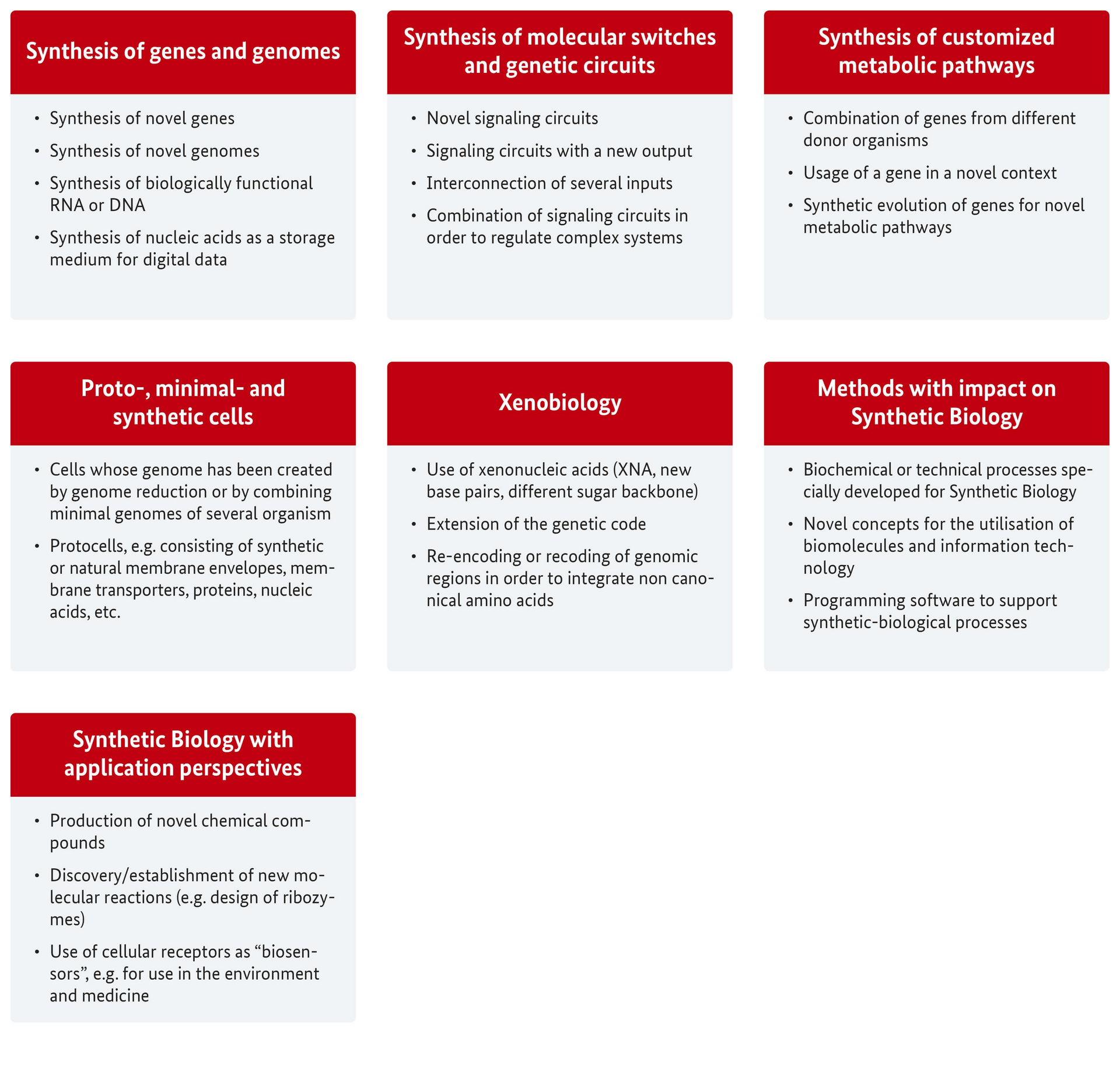 Overview of the research fields of Synthetic Biology.