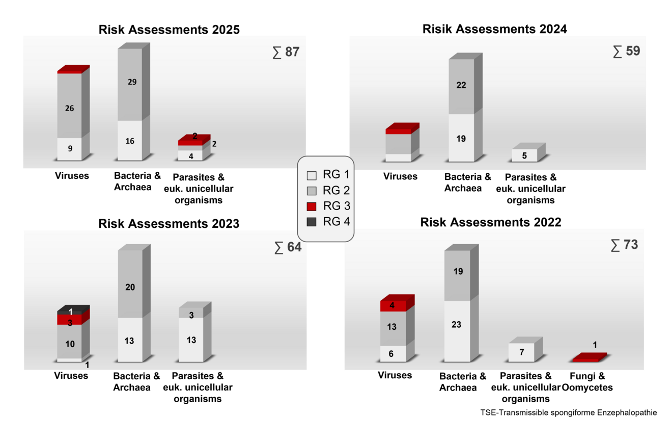 Bar charts show how many organisms were risk-assessed by the ZKBS in the years 2022 to 2025, and which risk group they were assigned to. In 2025, 87 risk assessments of organisms were carried out, of which 35 were viruses, 45 were bacteria and archaea, and 8 were parasites and eukaryotic unicellular organisms. Further figures can also be found in the annual report of the ZKBS.