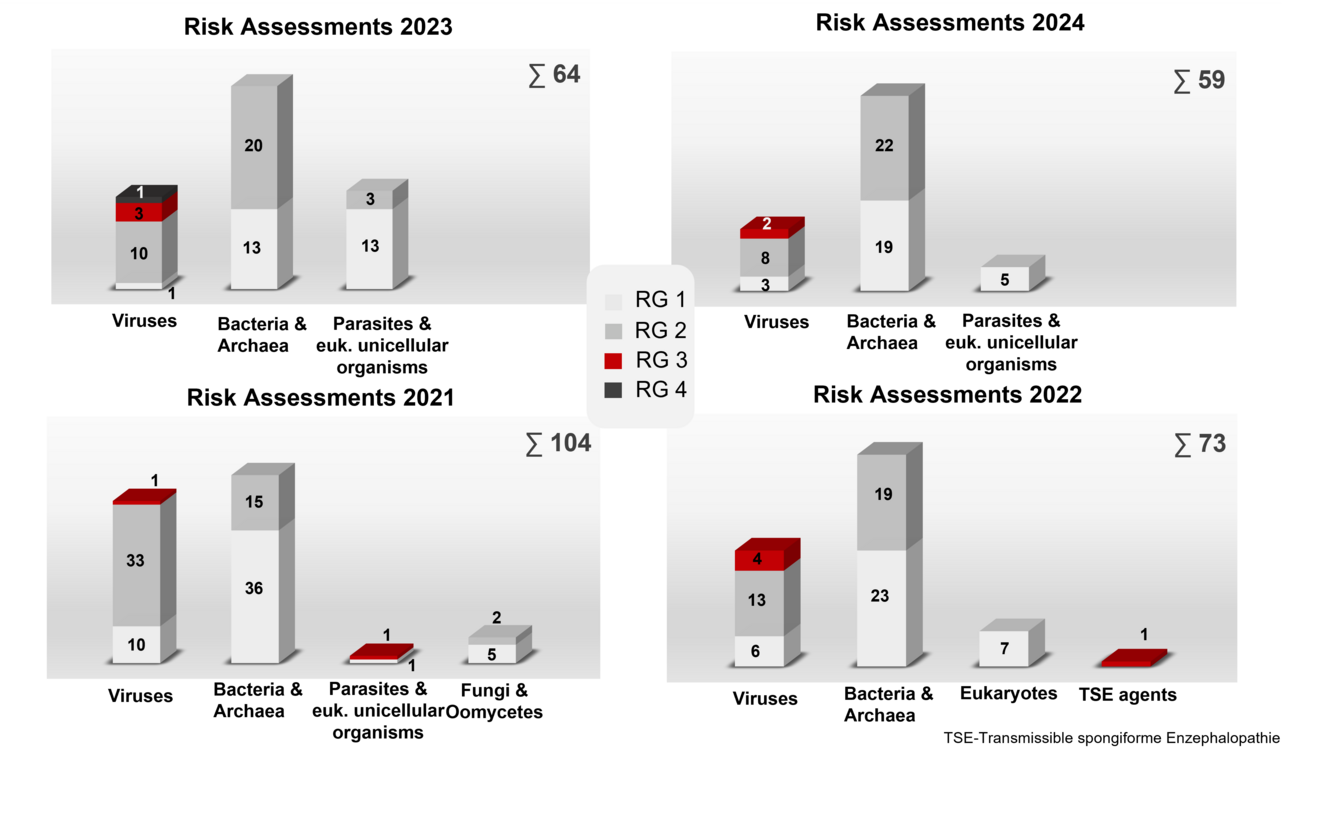 Bar charts show how many organisms were risk-assessed by the ZKBS in the years 2021 to 2024, and which risk group they were assigned to. In 2024, 59 risk assessments of organisms were carried out, of which 13 were viruses, 41 were bacteria and archaea, and 5 were parasites and eukaryotic unicellular organisms. Further figures can also be found in the annual report of the ZKBS.