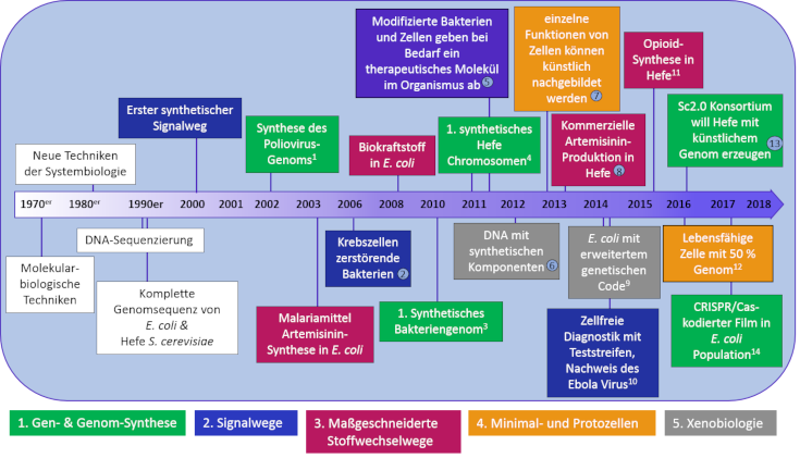 Zeitstrahl der Schlüsselentwicklungen der Synthetischen Biologie