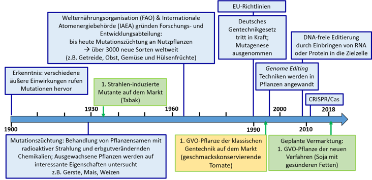 Zeitstrahl der Entwicklungen von Mutagenesetechniken