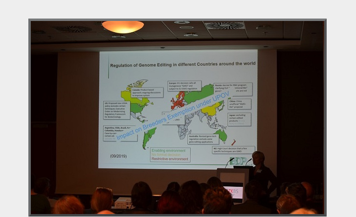 Anja Matzk talks about the consequences of the ECJ ruling on the plant breeding sector.